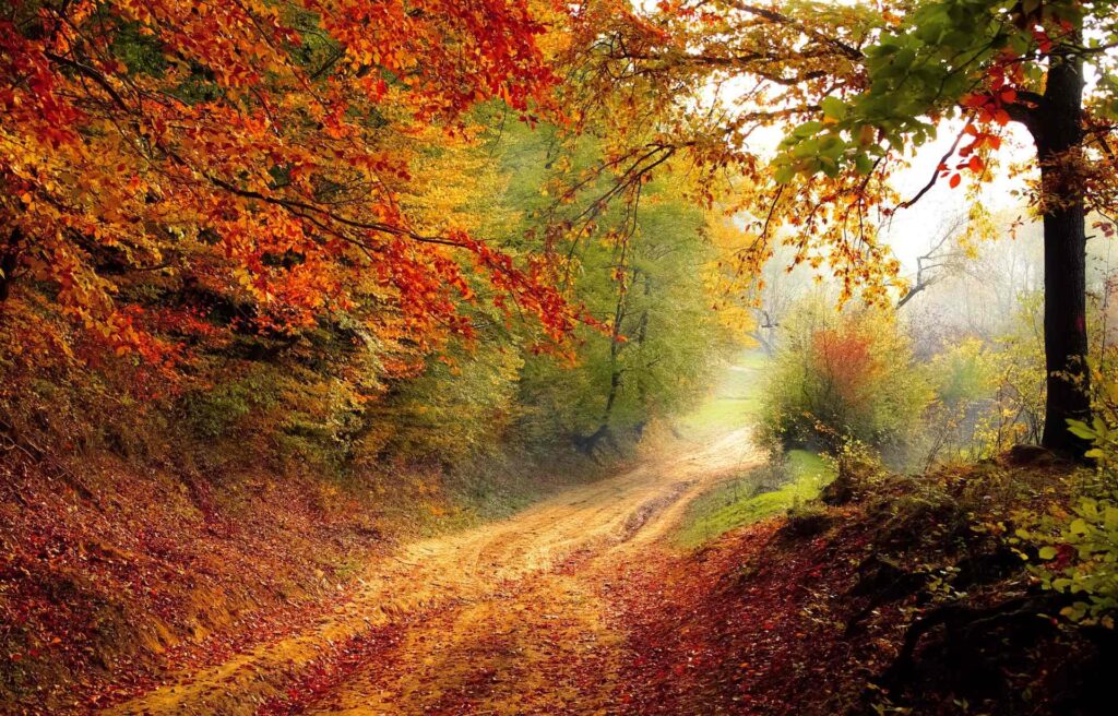 Sinnesfreuden durch Naturerleben